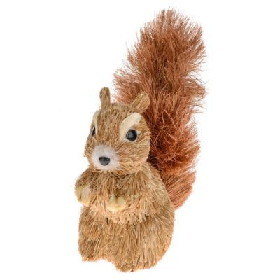 Nutkin Bristle Squirrel